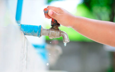 Finalización de la situación por microorganismos cultivables en la red de abastecimiento del depósito de agua de Las Lajas
